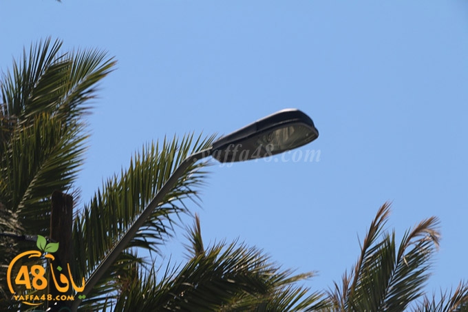 inara 7sanbek (2).JPG